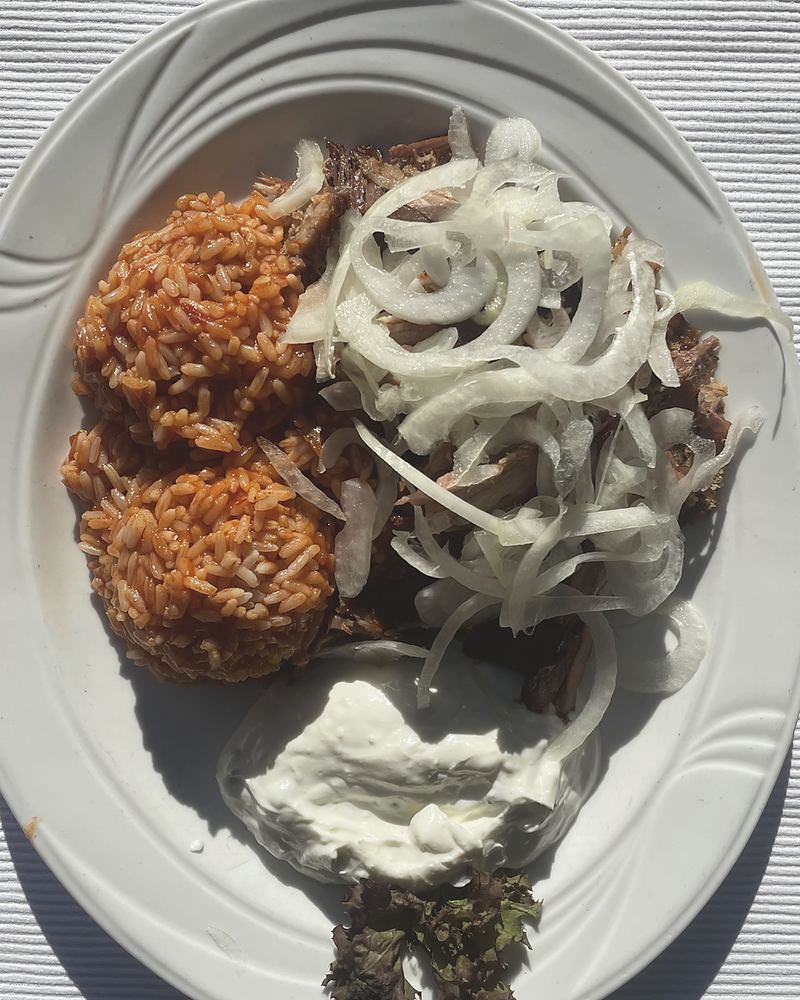 Gyros mit Reis, rohen Zwiebeln und Zaziki auf ovalem Teller